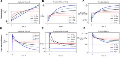 Existing and Potential Applications of Elastography for Measuring the Viscoelasticity of Biological Tissues In Vivo